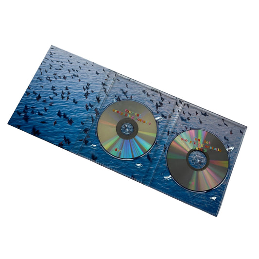 Four Tet DVD