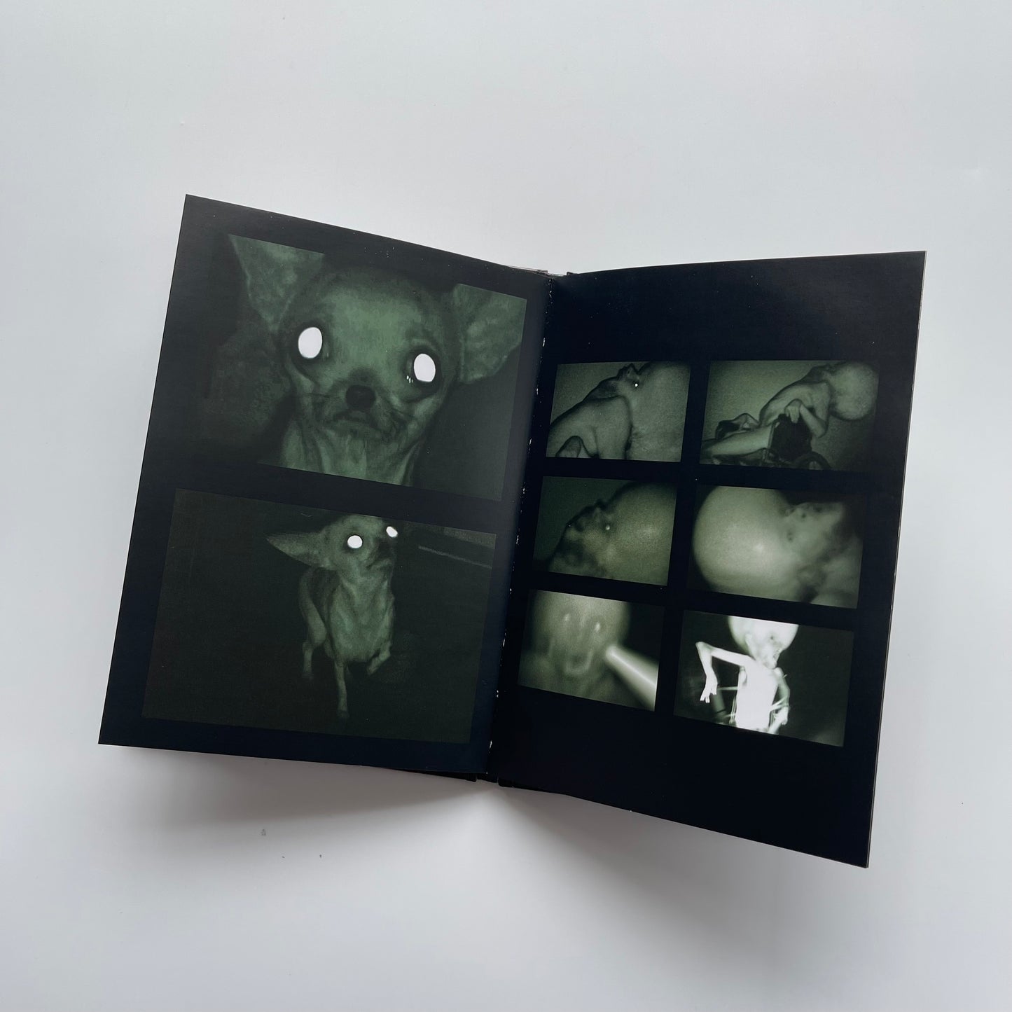 Rubber Johnny Chris Cunningham Book + DVD