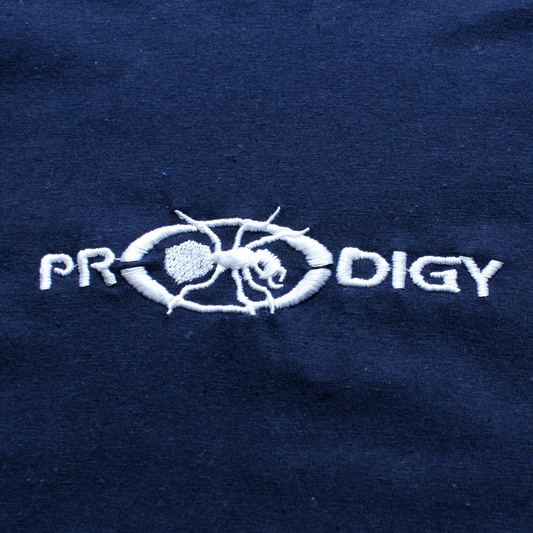 90s Prodigy Short Sleeve Raglan