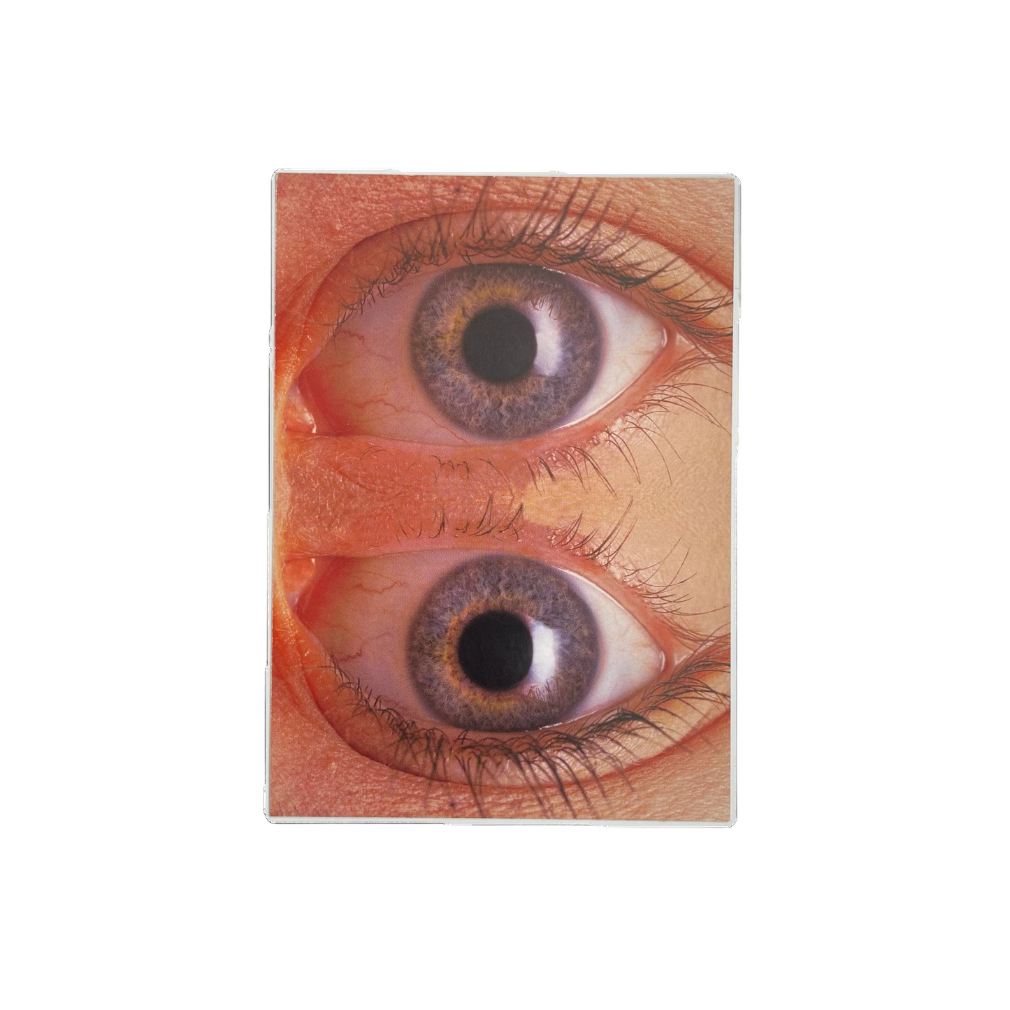 2004 Warp Vision Postcard