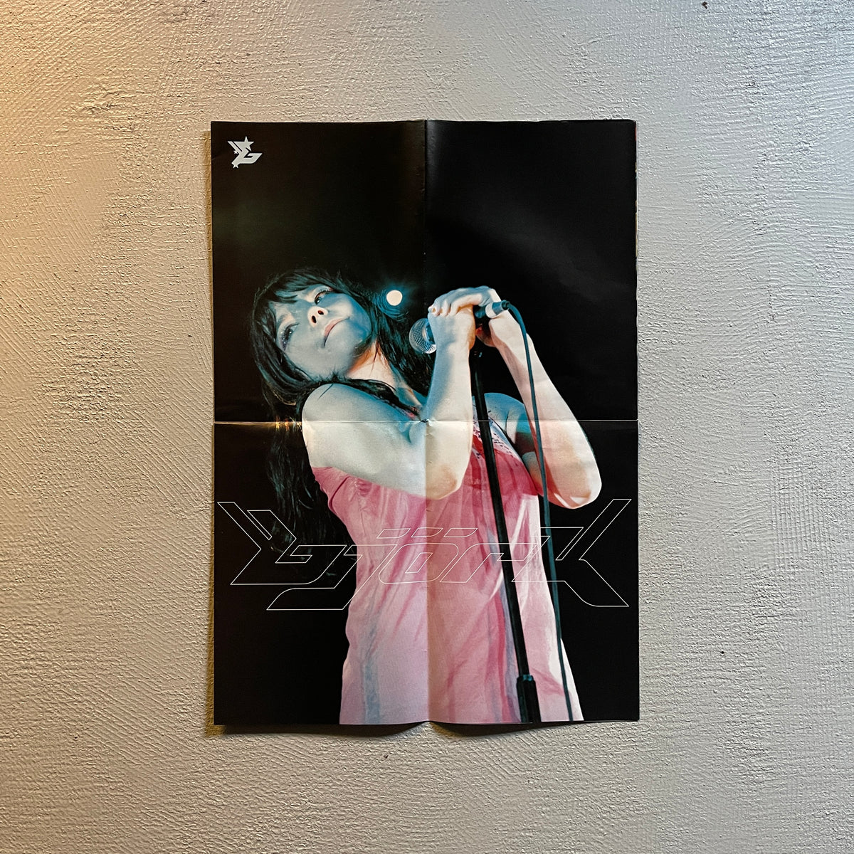 90s Bjork Fan Mail Magazine + Poster