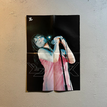 90s Bjork Fan Mail Magazine + Poster